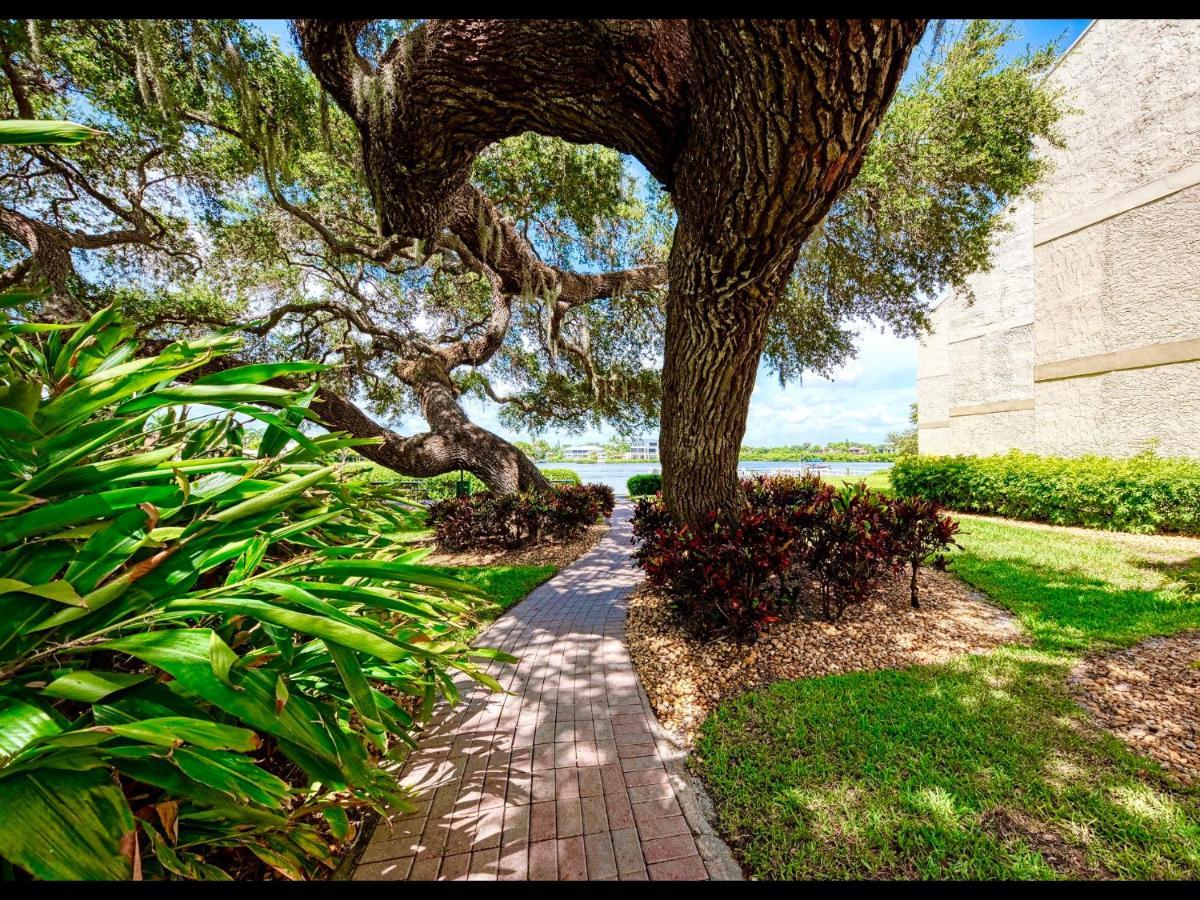 Luxury Waterfront Views - Heated Pool - 1400Sf Duplex - Minutes To The Beach Siesta Key Luaran gambar